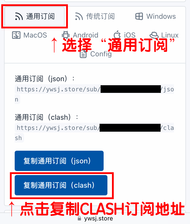使用教程 - IOS /苹果手机/平板/iPhone/iPad - Shadowrocket客户端